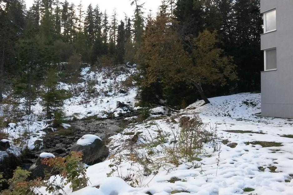 Celik Family Apartment Strbske Pleso ภายนอก รูปภาพ